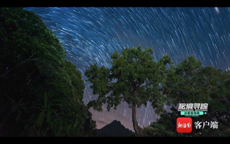 一加12全球版发布 售价799.99美元起 对标三星S24
