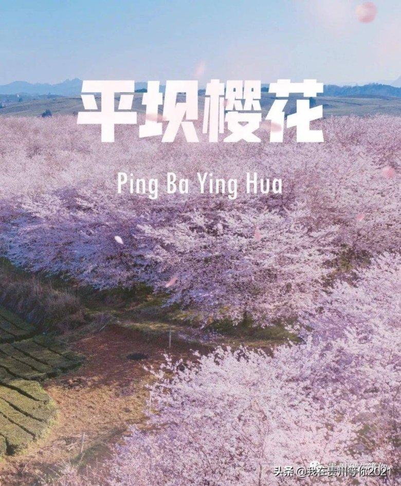 了解知识星球平台-英雄联盟剑圣是什么类型的英雄。