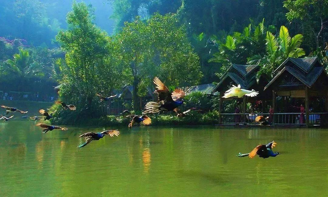 逃离魔法之森