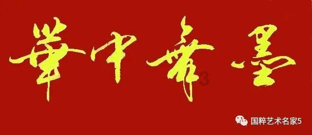 逃离金刚鹦鹉森林