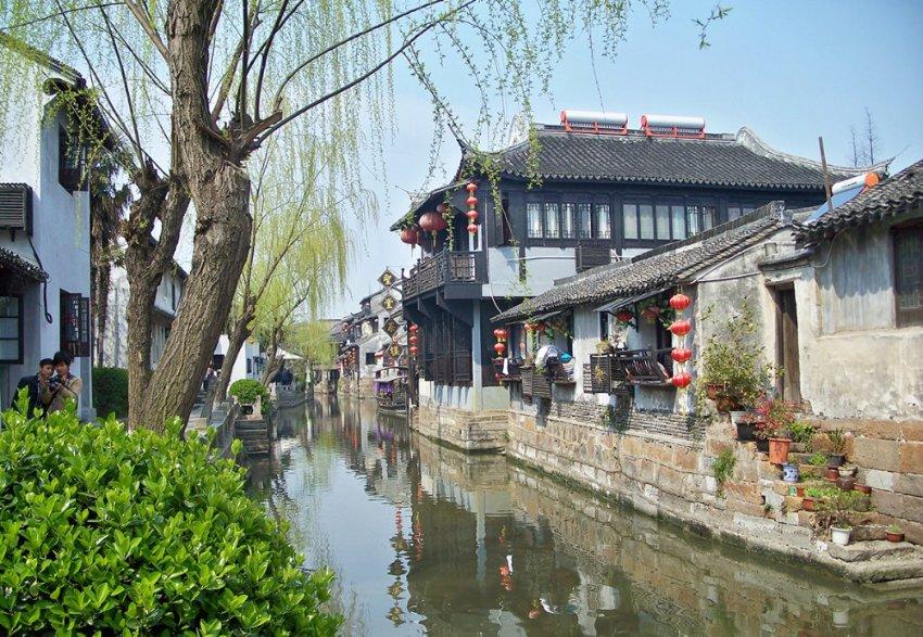 鲜活灵动——数十件秦始皇帝陵陪葬青铜水禽集中展出